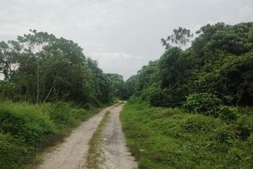 Industry Land @ Batang Kali Selangor 