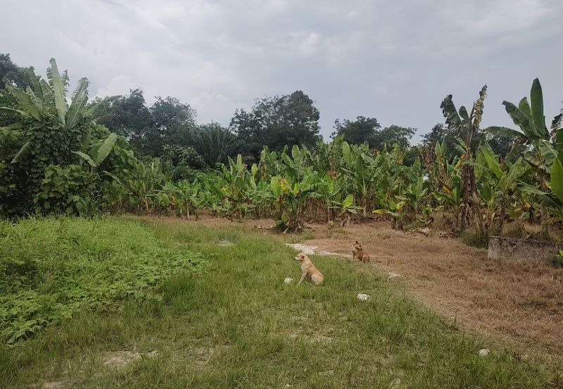 Industry Land @ Batang Kali Selangor 