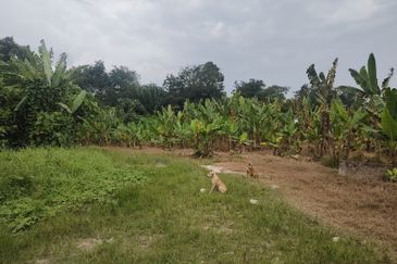 Industry Land @ Batang Kali Selangor 