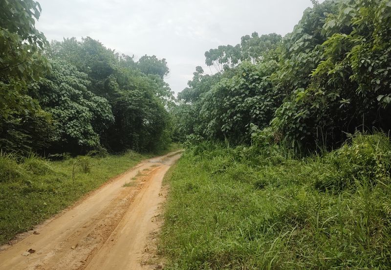 Industry Land @ Batang Kali Selangor 