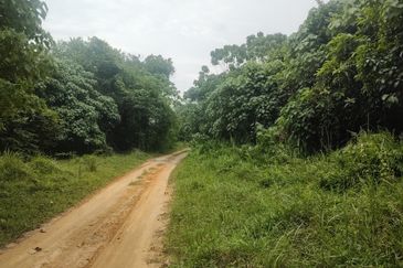 Industry Land @ Batang Kali Selangor 