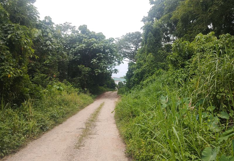 Industry Land @ Batang Kali Selangor 