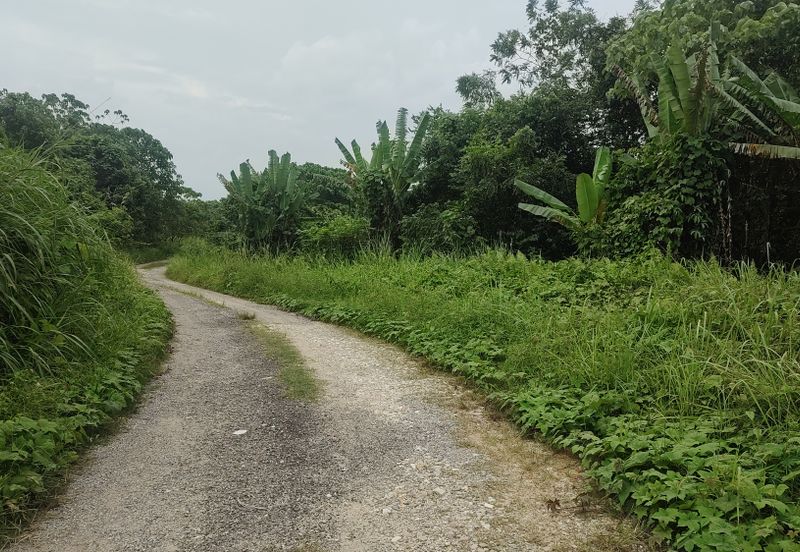 Industry Land @ Batang Kali Selangor 