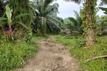 Commercial Land @ Batang Kali Hulu Selangor 