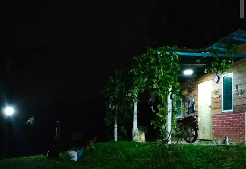 Durian Orchard Land @ Bernam Tanjung Malim Perak 