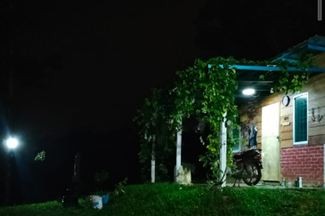 Durian Orchard Land @ Bernam Tanjung Malim Perak 