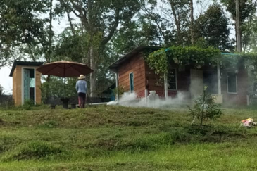 Durian Orchard Land @ Bernam Tanjung Malim Perak 
