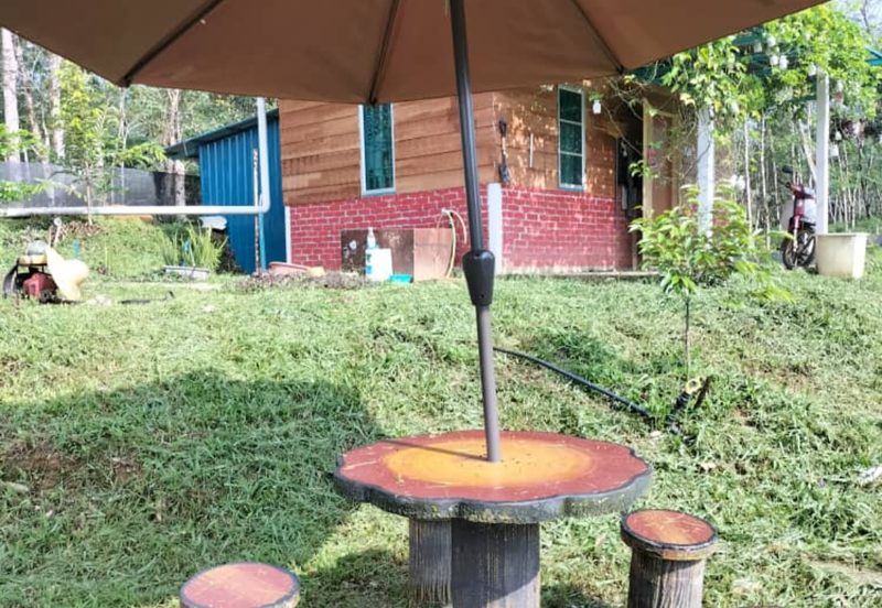 Durian Orchard Land @ Bernam Tanjung Malim Perak 