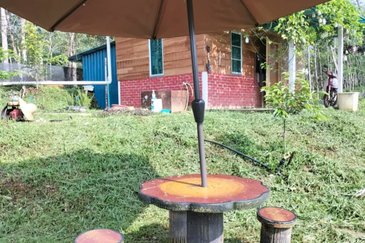 Durian Orchard Land @ Bernam Tanjung Malim Perak 