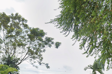 Bukit Gasing, Seksyen 5