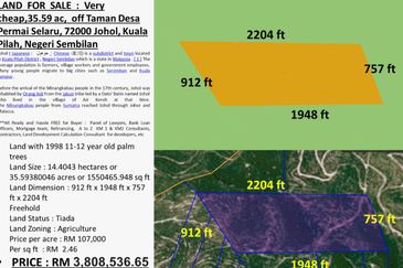 Oil Palm Land @ Kepis Kuala Pilah Negeri Sembilan 