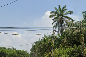 Batang Berjuntai @ Bestari Jaya