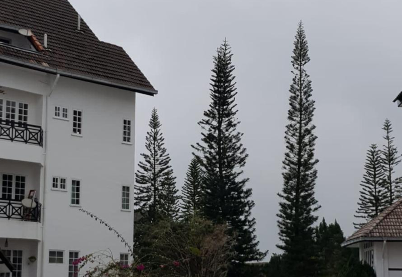 Silverpark Apartment