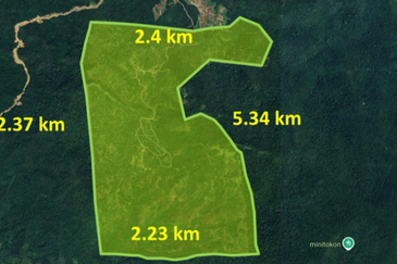 Rubber Plantation @ Kota Marudu, Sabah 