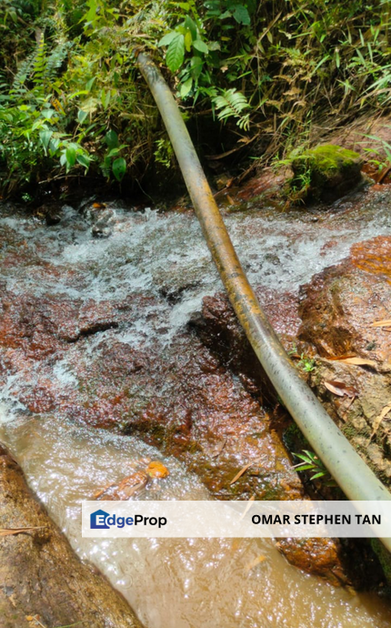 Durian Orchard with Stream @ Hulu Bernam, Tanjung Malim, Perak , Perak, Tanjung Malim