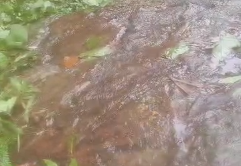 Durian Orchard with Stream @ Hulu Bernam, Tanjung Malim, Perak 