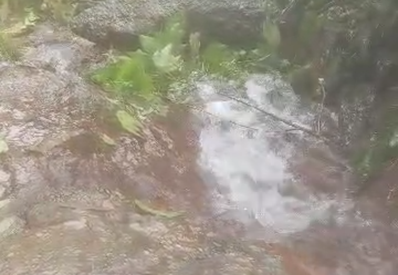 Durian Orchard with Stream @ Hulu Bernam, Tanjung Malim, Perak 