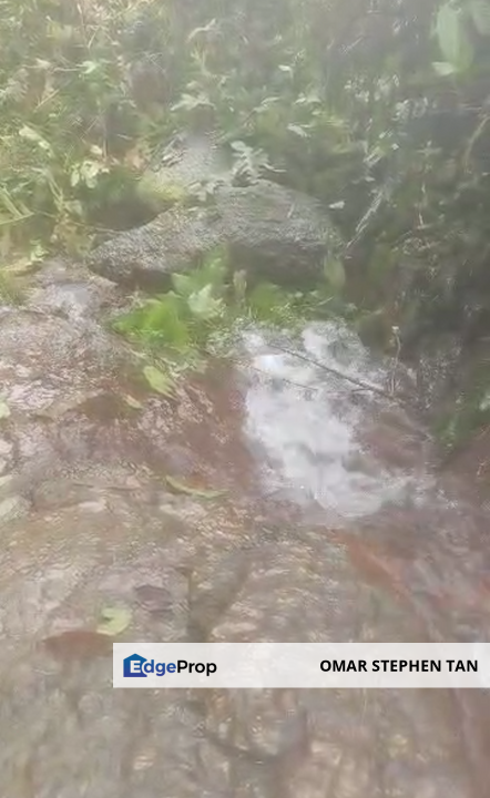 Durian Orchard with Stream @ Hulu Bernam, Tanjung Malim, Perak , Perak, Tanjung Malim
