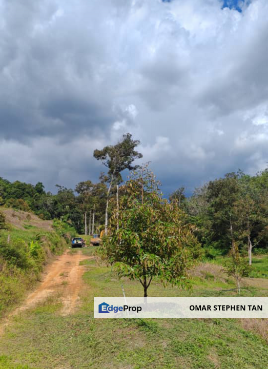 Durian Orchard with Stream @ Hulu Bernam, Tanjung Malim, Perak , Perak, Tanjung Malim