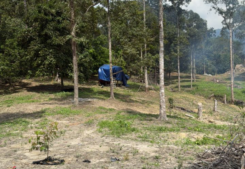 Durian Orchard & Waterfall @ Hulu Bernam, Tanjung Malim, Perak 
