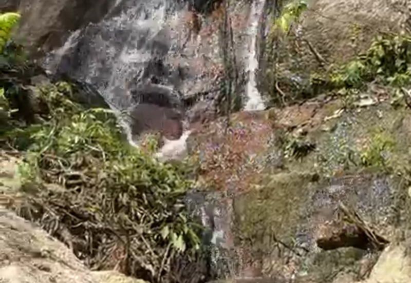 Durian Orchard & Waterfall @ Hulu Bernam, Tanjung Malim, Perak 