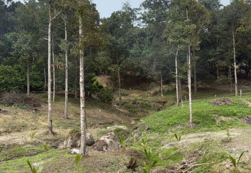 Durian Orchard & Waterfall @ Hulu Bernam, Tanjung Malim, Perak 