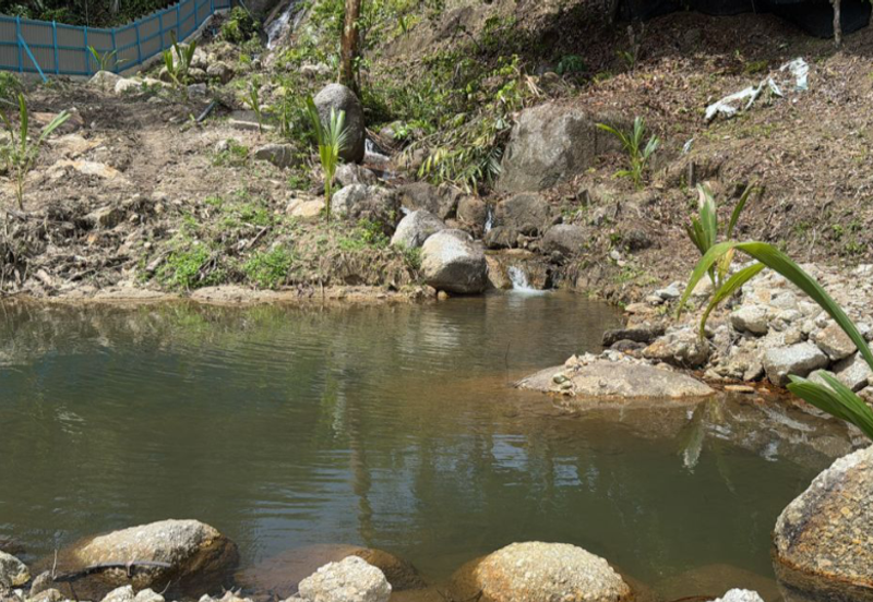 Durian Orchard & Waterfall @ Hulu Bernam, Tanjung Malim, Perak 
