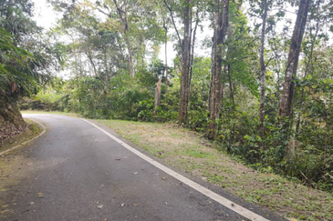 BUKIT FRASER