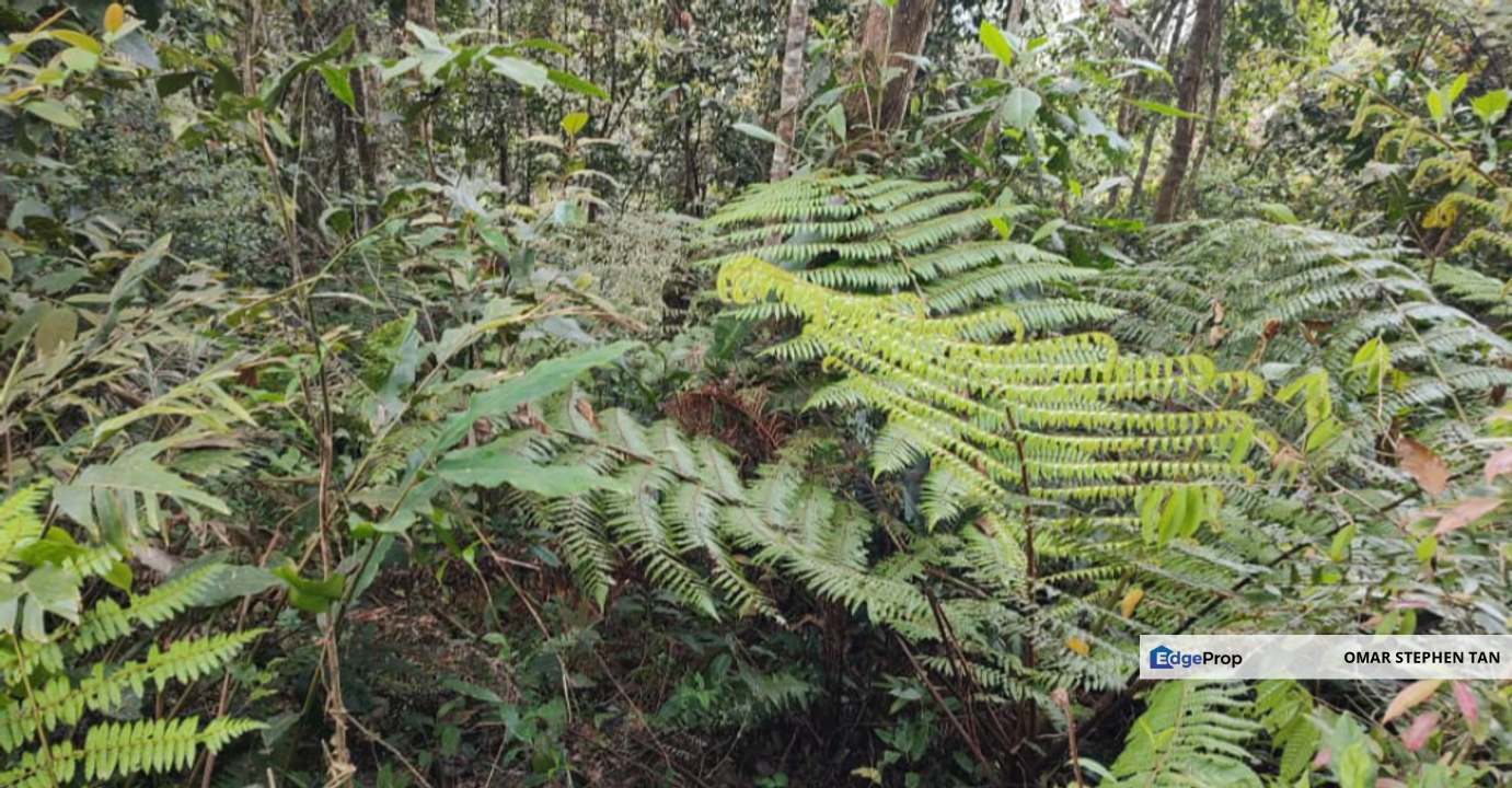 Bungalow Lot for Sale @ Fraser's Hill, Raub, Pahang , Pahang, Raub