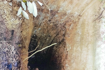 GOLD MINE AU Leasehold Land @ Kuala Krai, Kelantan 