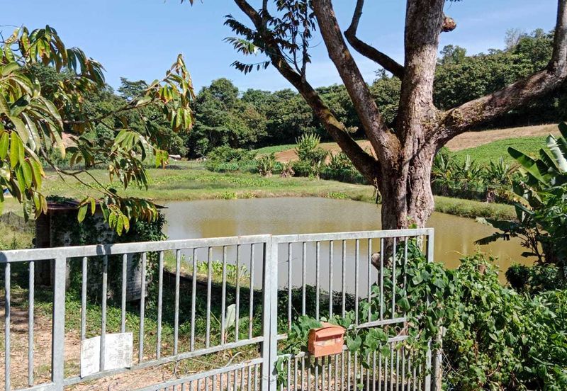 JALAN MAMBAU /KAYU ARA