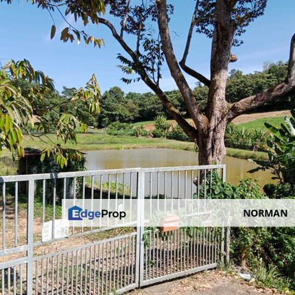 Mambau Agricultural Land 3 Fishpond [Below Market], Negeri Sembilan, Mambau