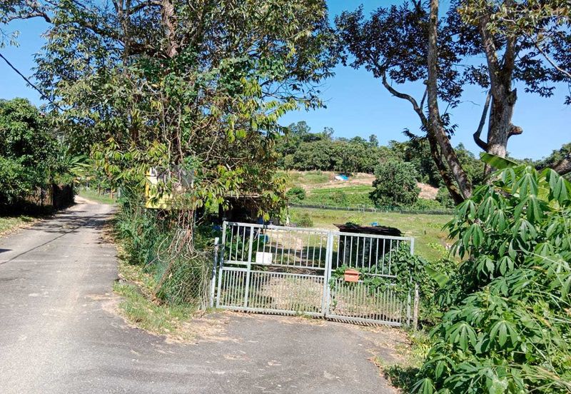 JALAN MAMBAU /KAYU ARA