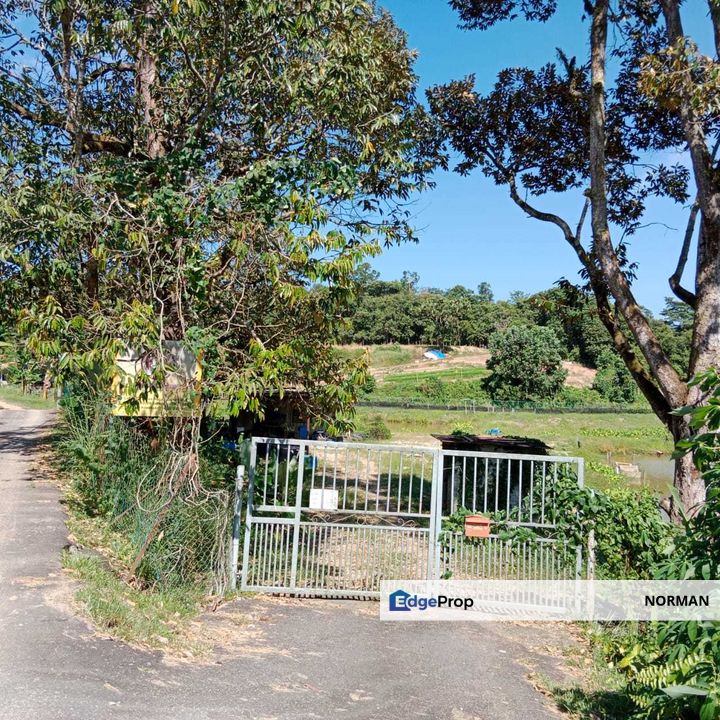 Mambau Agricultural Land 3 Fishpond [Below Market], Negeri Sembilan, Mambau