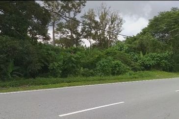 42acres Agricultural Land for Sale | Gadong, Labu