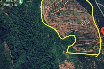 53 Acres Agriculture land for sell at Jalan Sungai Udang