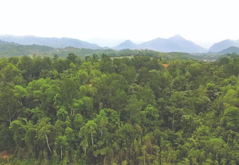 {GOPENG} FREEHOLD! Rumah Teres Dua Tingkat di Puncak Bukit
