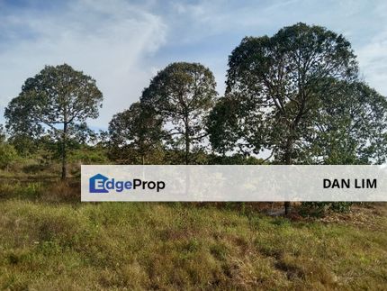Durian plantation for sale, Negeri Sembilan, Jelebu