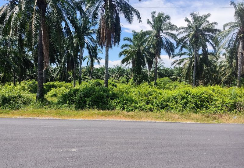Telok Mengkuang Industrial