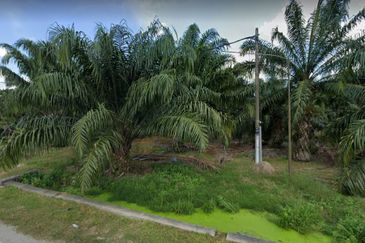 Kapar industrial land for sale