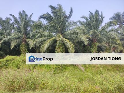Agriculture land for Sale, Selangor, Klang