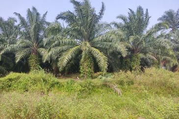 Telok Panglima Garang Industrial land for Sale