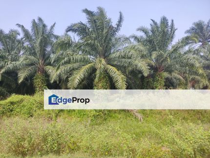 Telok Mengkuang Industrial land for Sale, Selangor, Klang