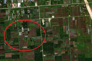 Agriculture land for Sale