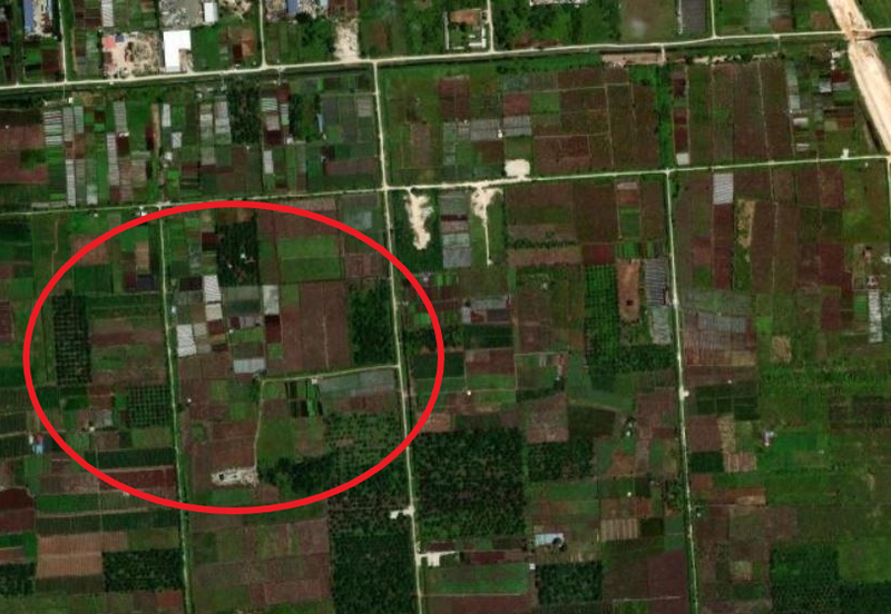 Agriculture land for Sale