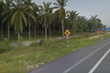Kuala Selangor Flat land for RENT