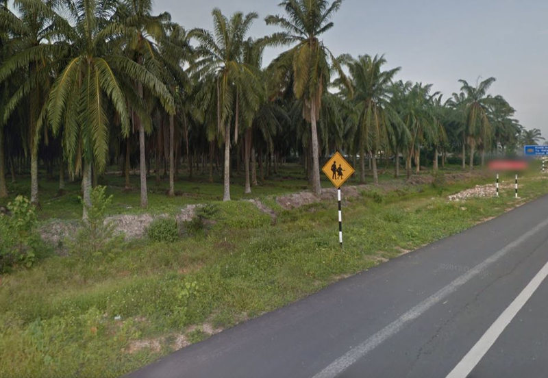 Kuala Selangor Flat land for RENT
