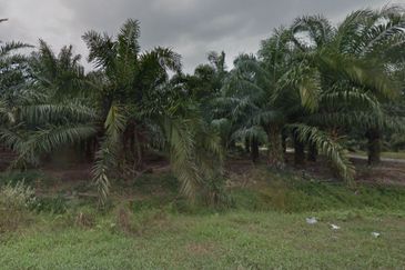 Banting @ Industrial