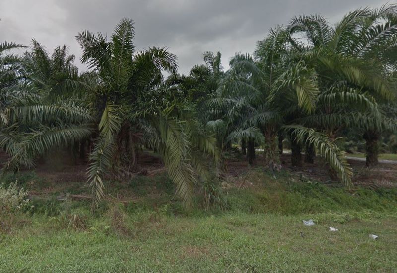 Banting @ Industrial