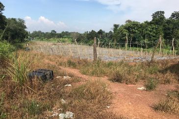 5 Ekar Tanah Pertanian Alor Gajah, Melaka for Sale | NEAR AMENITIES, NEAR MAIN ROAD LEBUH AMJ